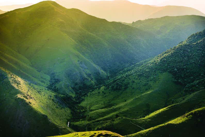 Silver Fern Farms commits to its course for a sustainable future