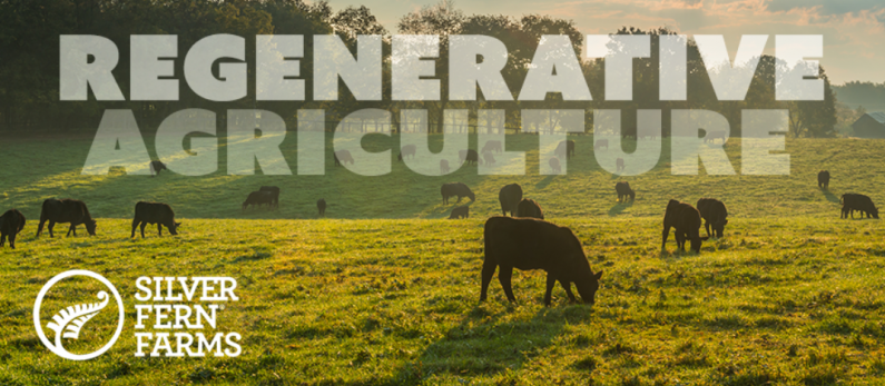 Silver Fern Farms' Matt Luxton, Director of Sales, USA, Speaks to Regenerative Ag