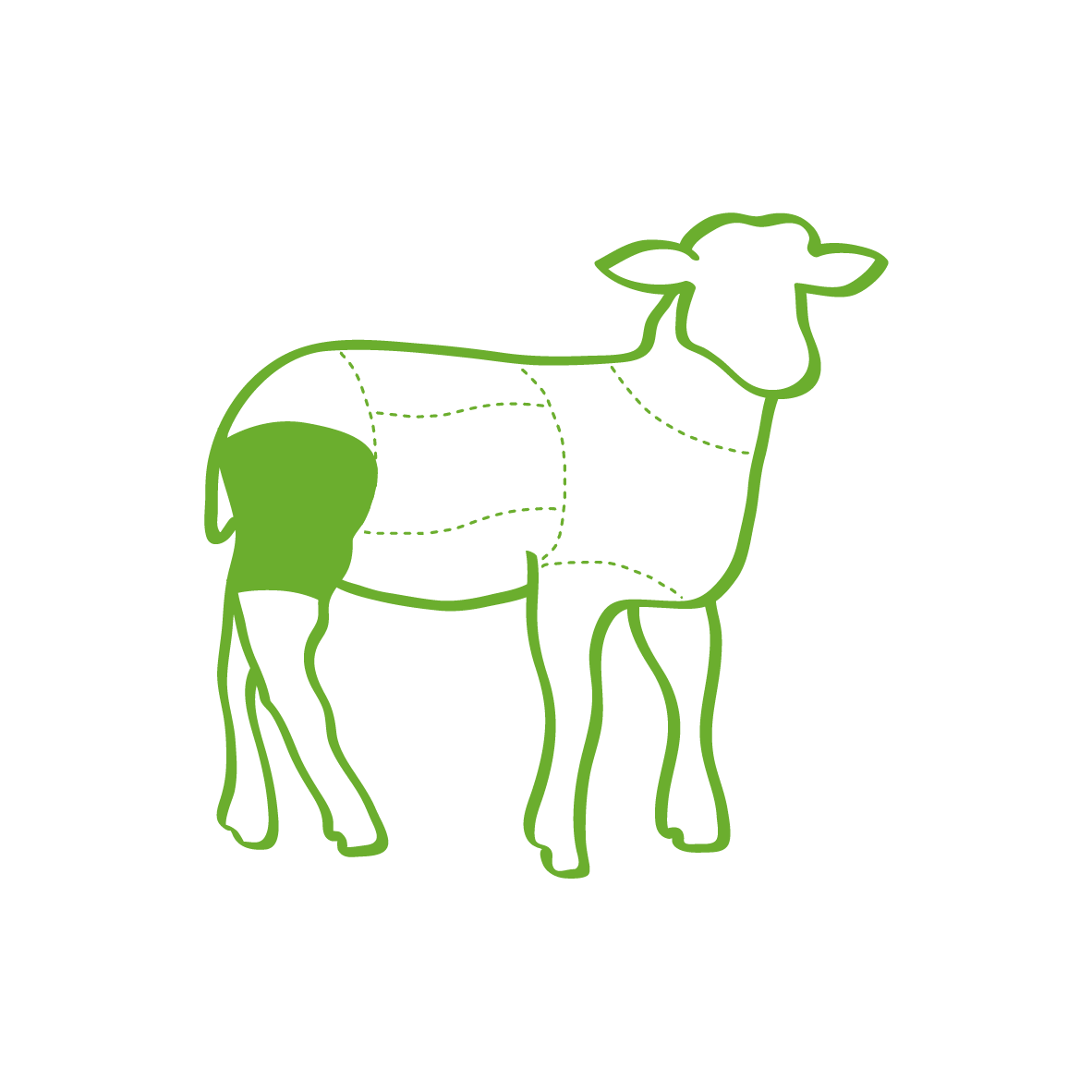 Illustration of a lamb highlighting where the lamb rumps comes from