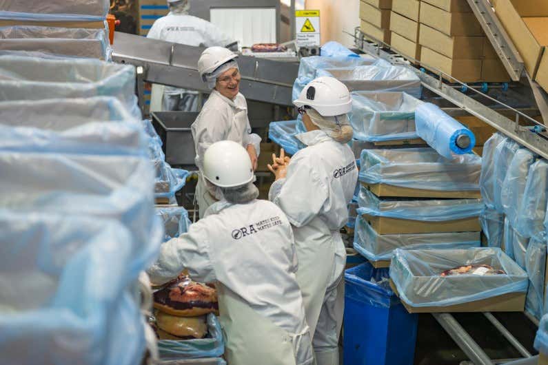 Staff in protective gear having a conversation
