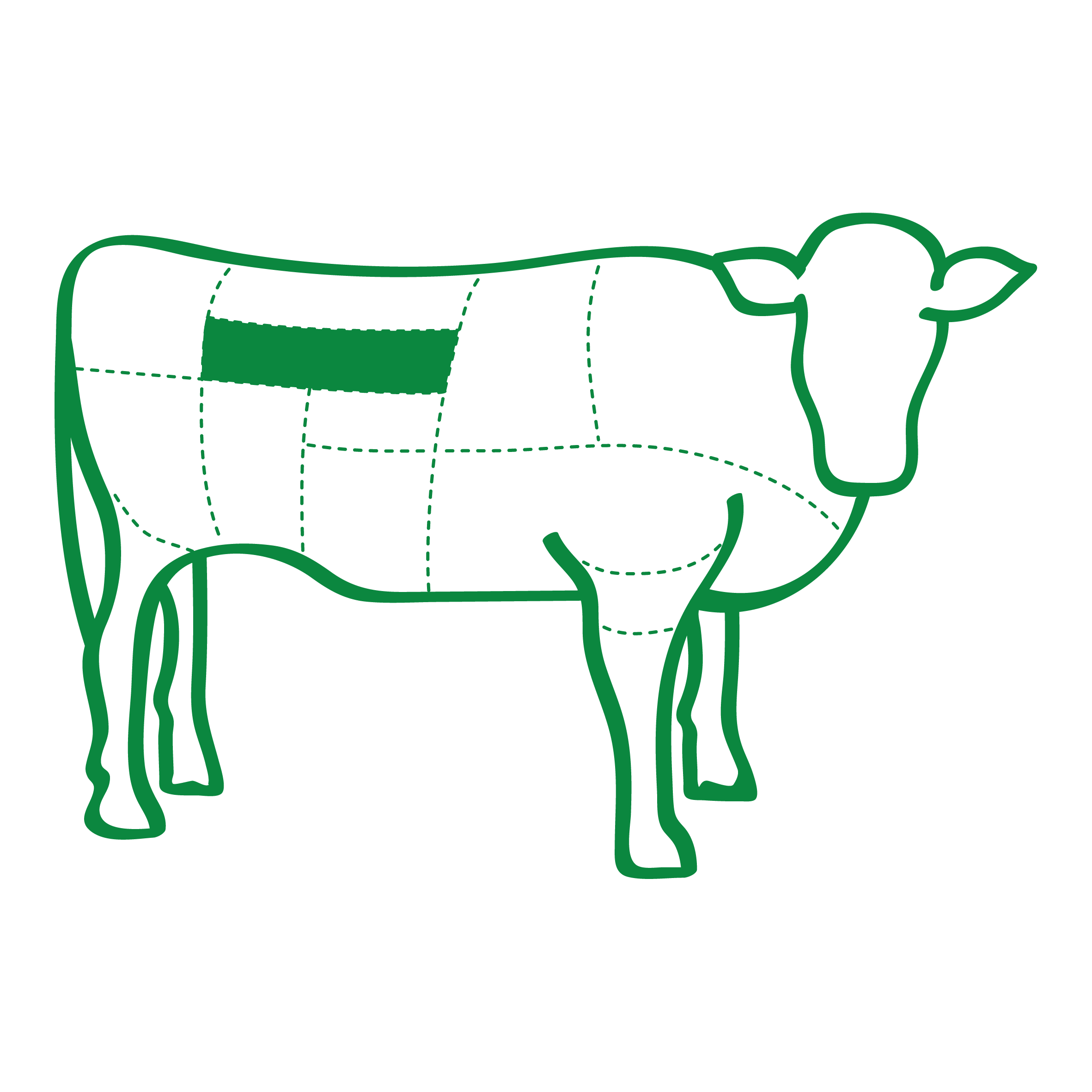 Illustration of a beef highlighting where the Beef Eye Fillet comes from