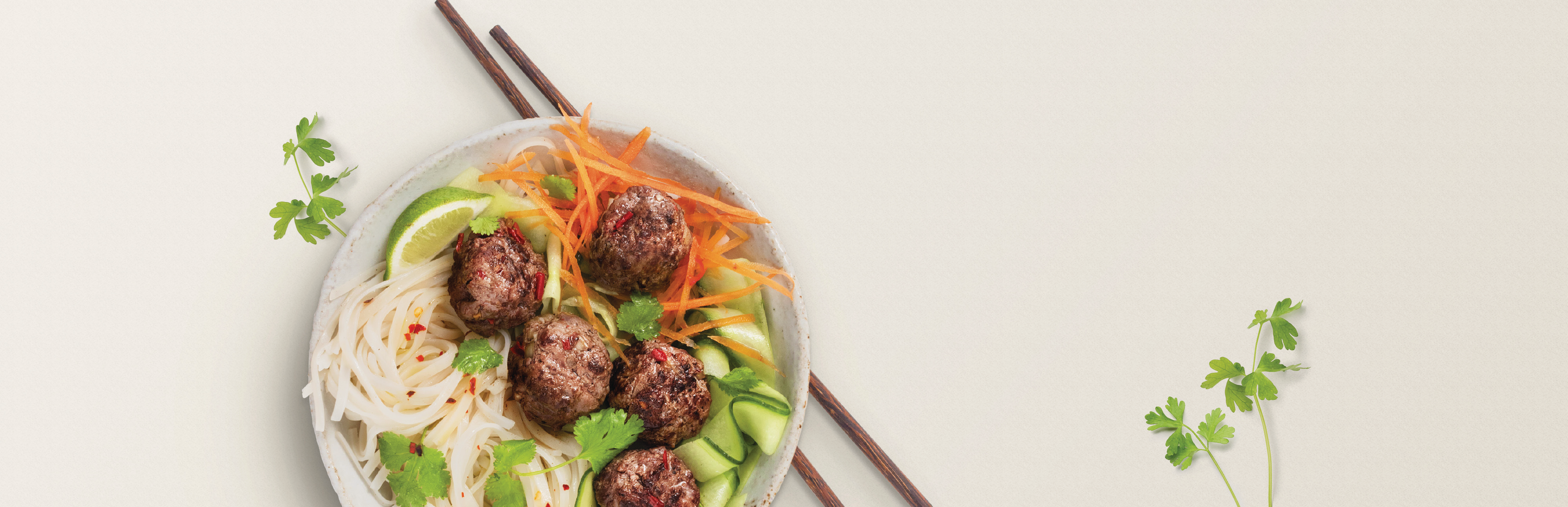 a venison meatball and noodles dish in a white bowl