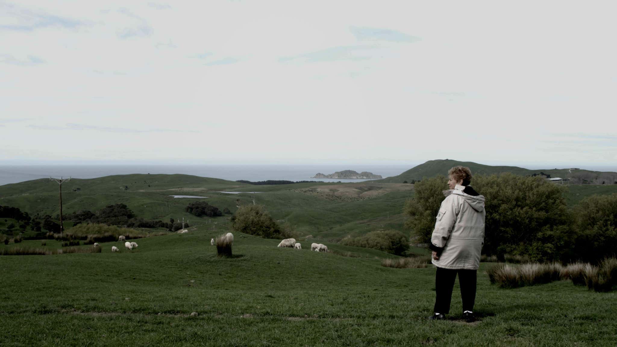 Celebrating Guardianship with Silver Fern Farms on a Global Stage