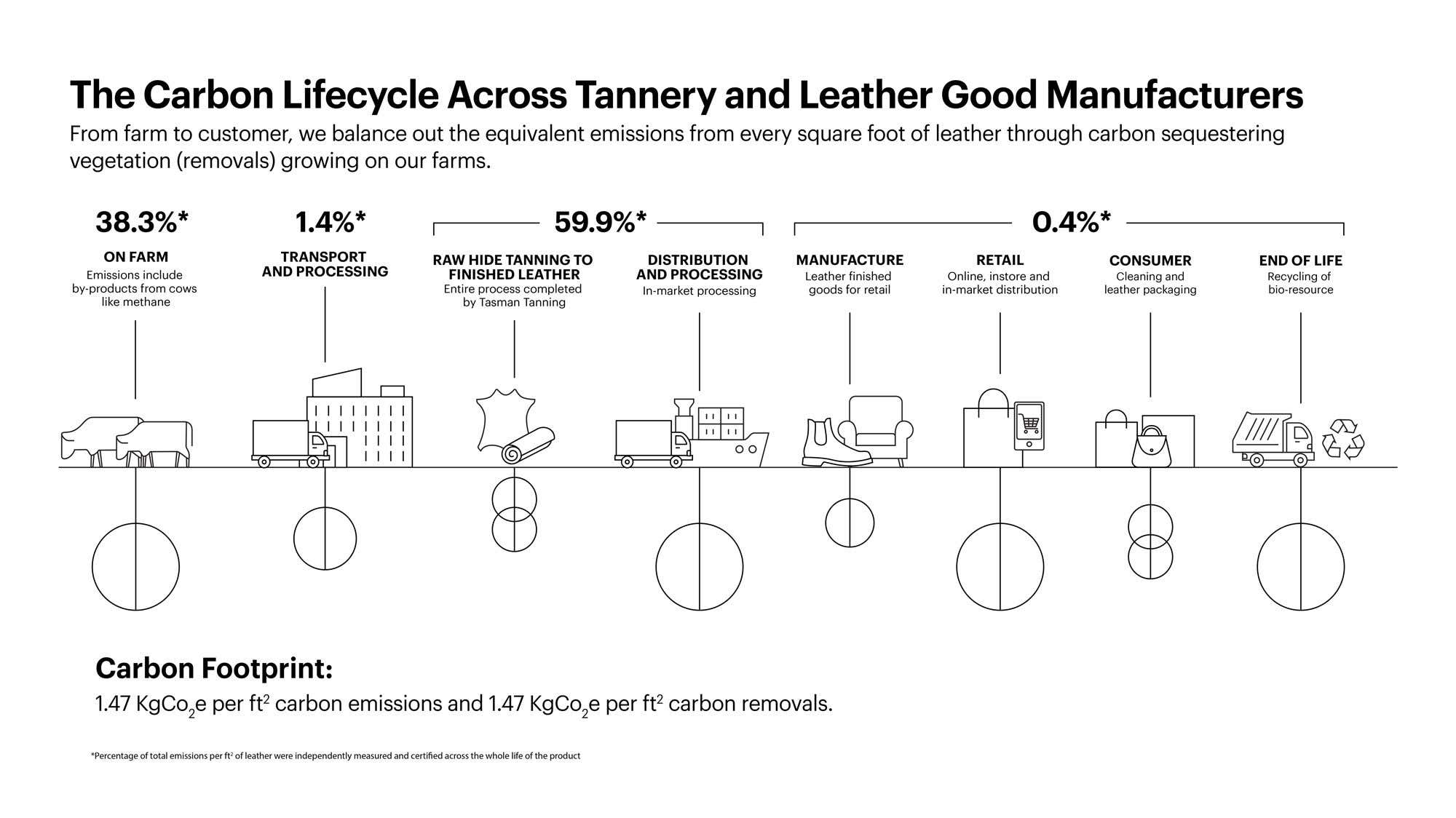 Net Carbon Zero Emissions Profile Infographic