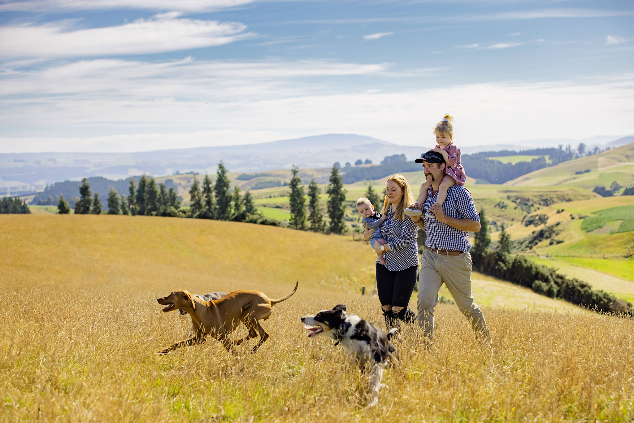Farmer Story: Farmer Nigel and Leanne Woodhead walking through a paddock with their dogs and kids