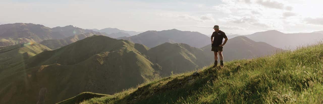 A farmer stands at the top of a hill, looking at the landscape below