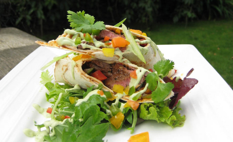 Venison Enchiladas on a white plate