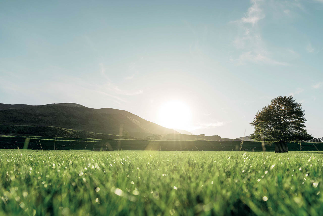 A paddock with sunshine and rolling hills in the background