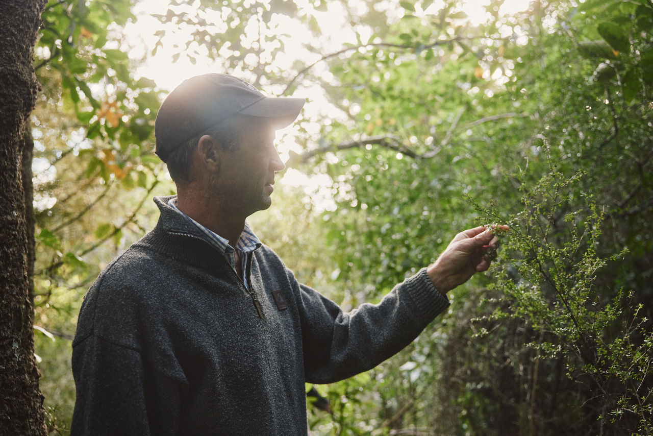 Farmer standing amongst native trees touching leaves