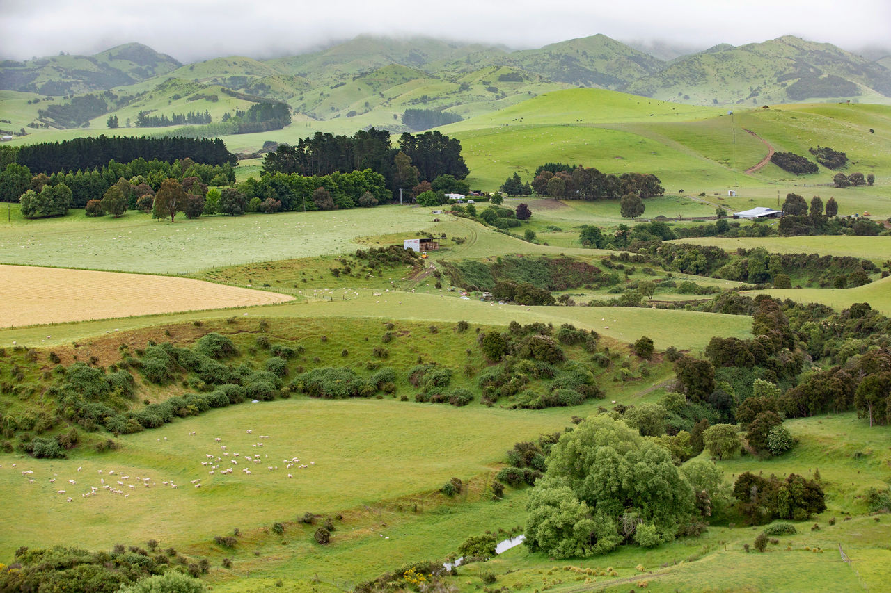 Aerial Image of Hamish and Debby Galletly farm
