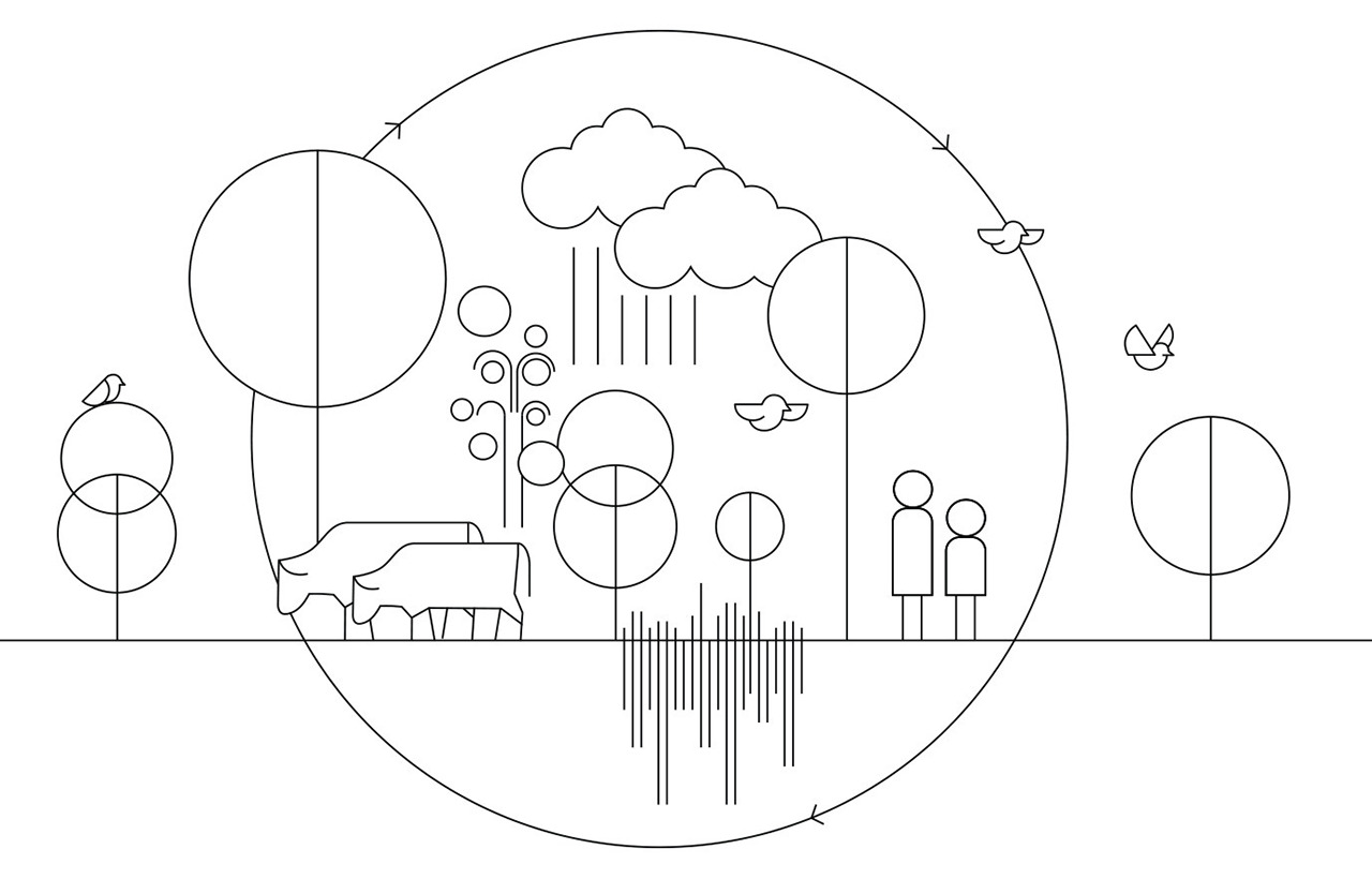 Net Carbon Zero Infographic