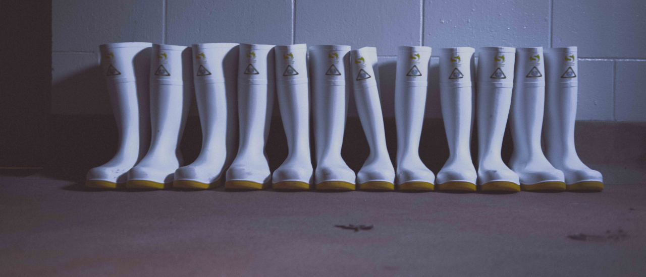 A line of white gumboots against a white wall