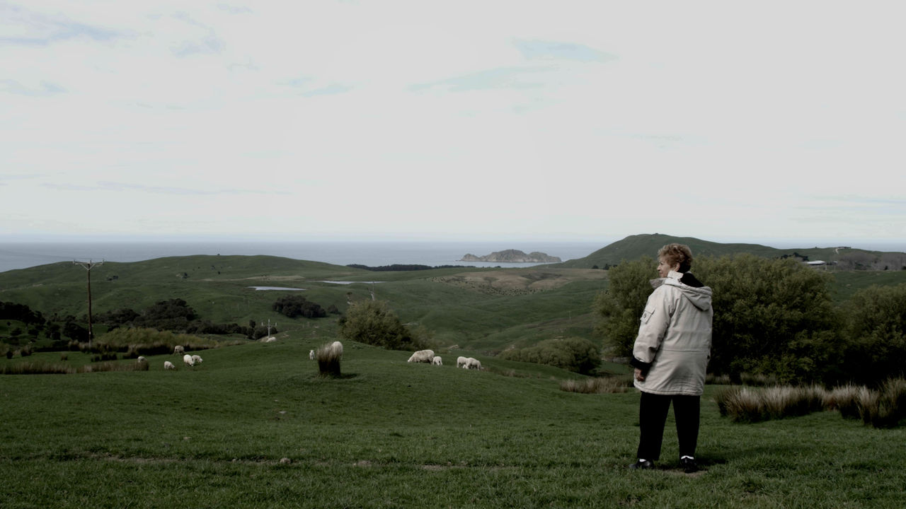 Ingrid Nea Collins the chair of the Whāngārā Farms Whakahaere (Board) looking over the farm