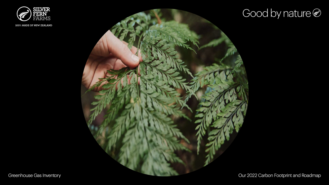 Cover of report showing a hand holding a New Zealand fern