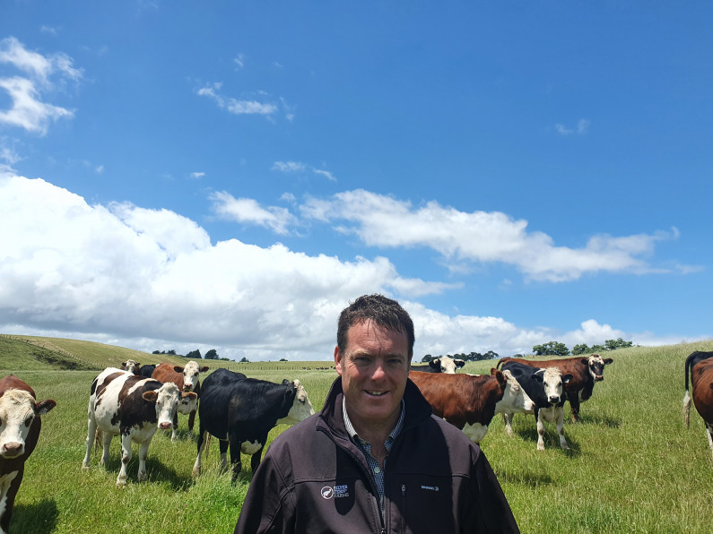 Thurston takes out Top Silver Fern Farms Livestock Rep for 2021