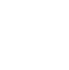 Honest Burgers Icons Good Stuff Beef