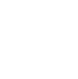 GF Icon Resize