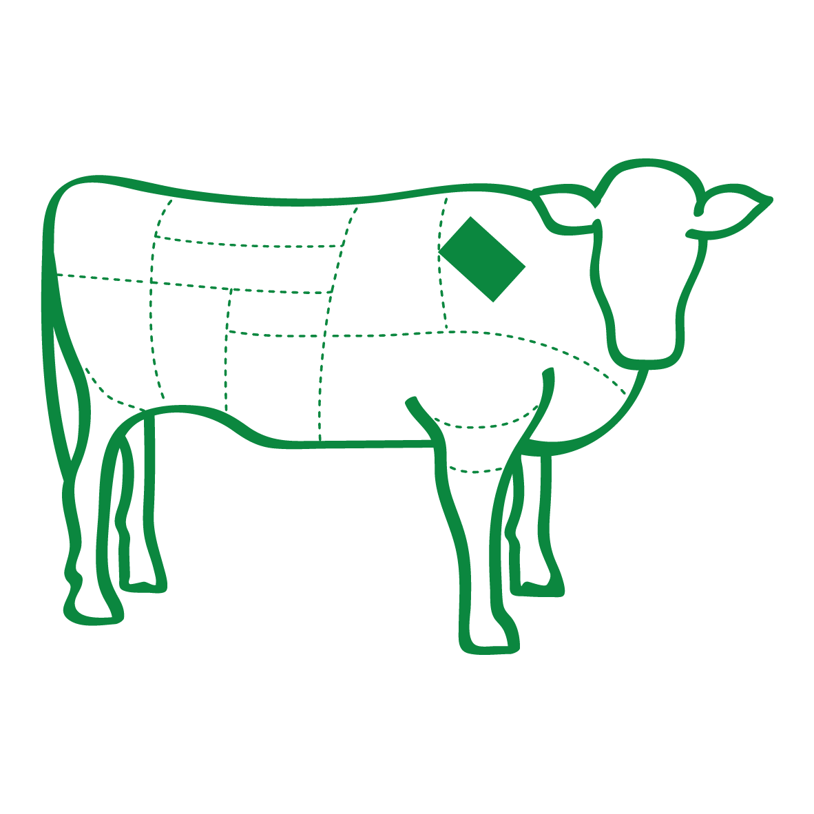 an illustration of a beef carcass showing where flat iron come from
