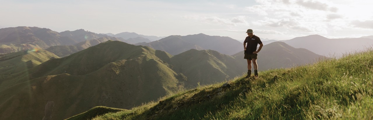 A farmer stands at the top of a hill, looking at the landscape below