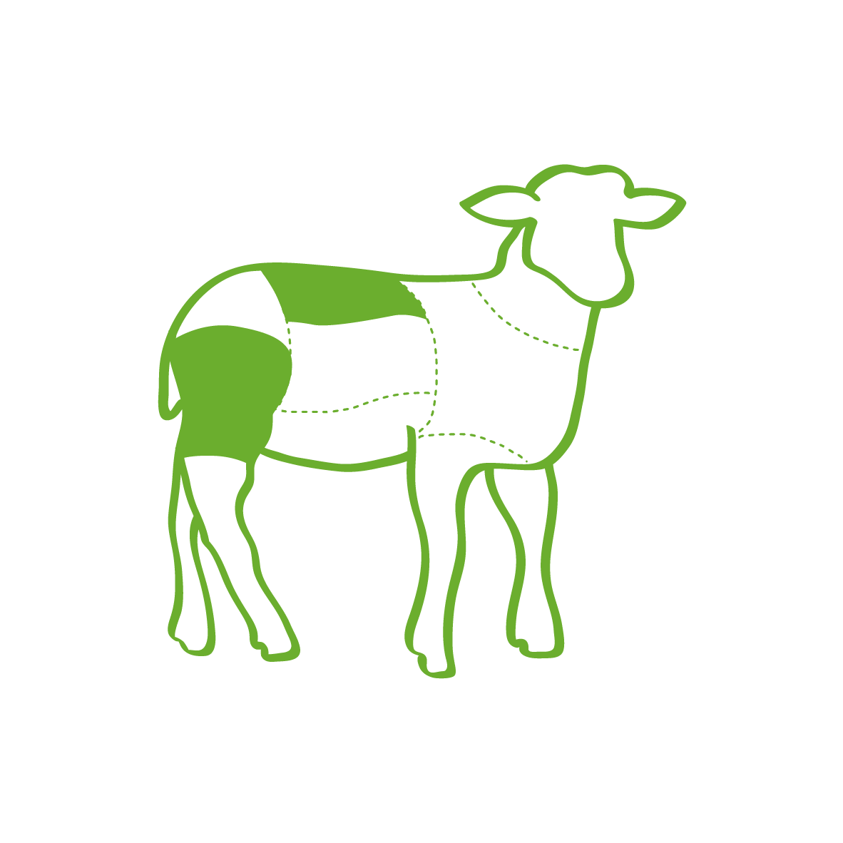 Illustration of a lamb highlighting where the lamb stir-fry comes from