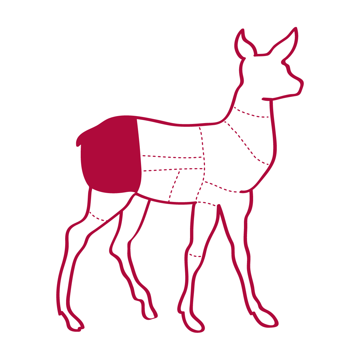 an illustration of a venison carcass showing where steaks come from
