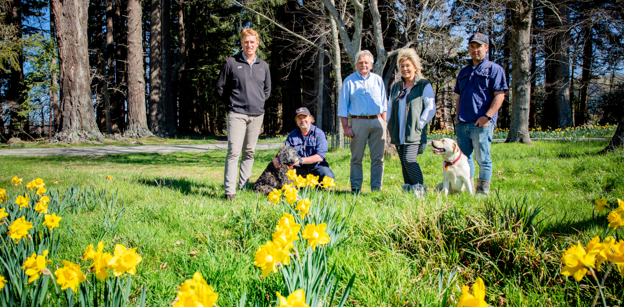 Farmer Graham Carr with wife and livestock team standing in a field with daffodils