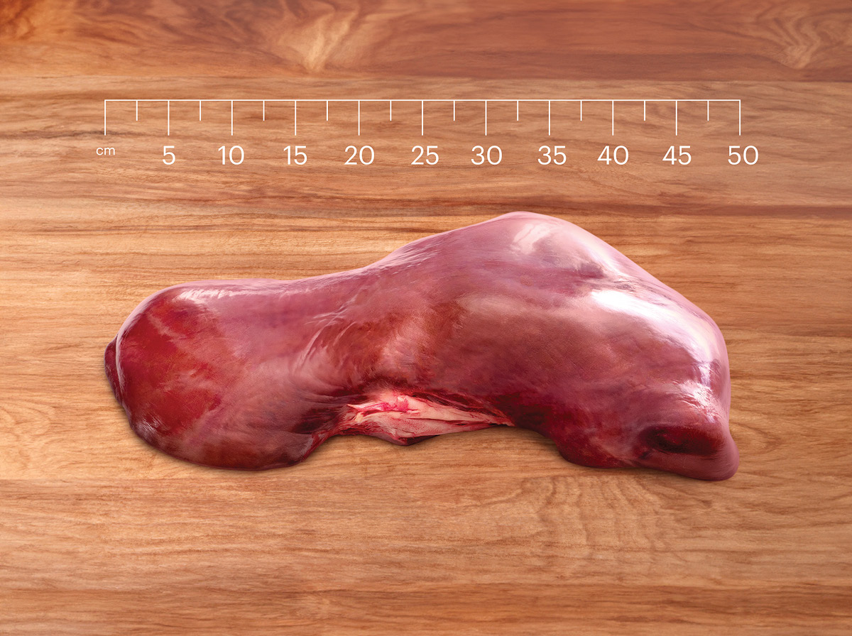 Beef Liver