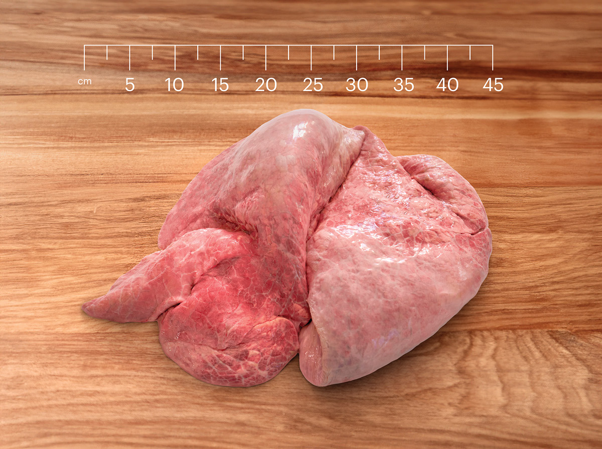 Beef Lung