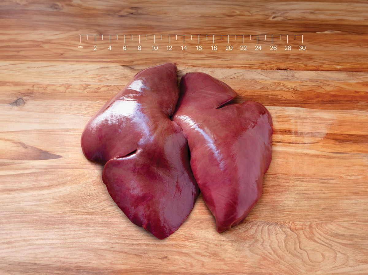 Ovine Liver