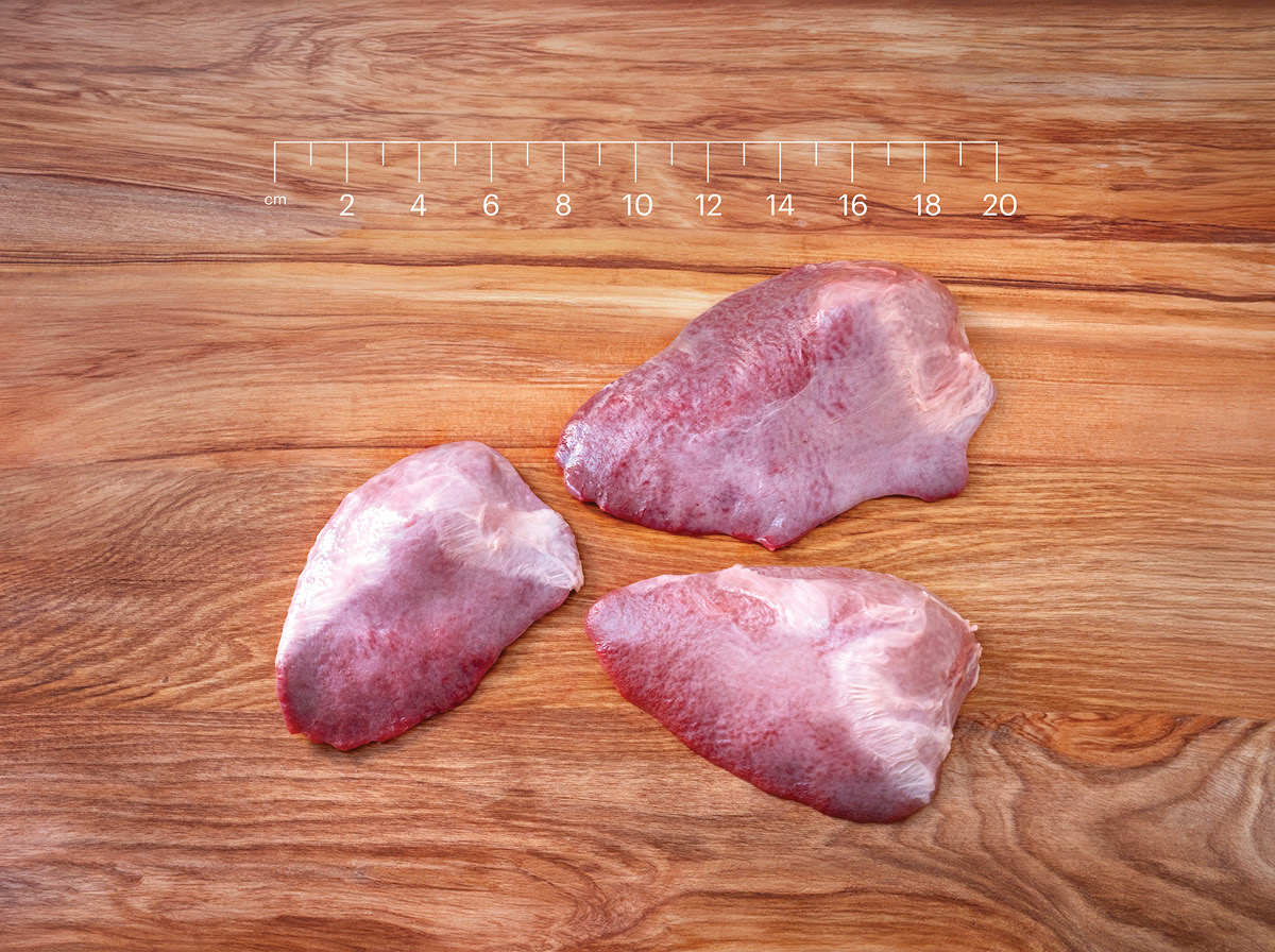 Ovine Spleen