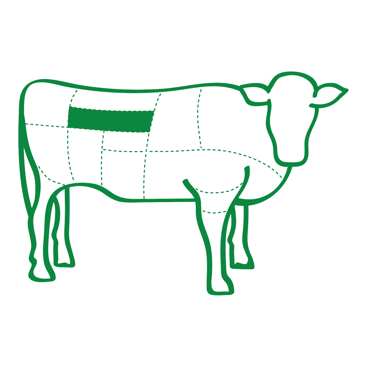 Illustration of a beef highlighting where the Beef Eye Fillet comes from
