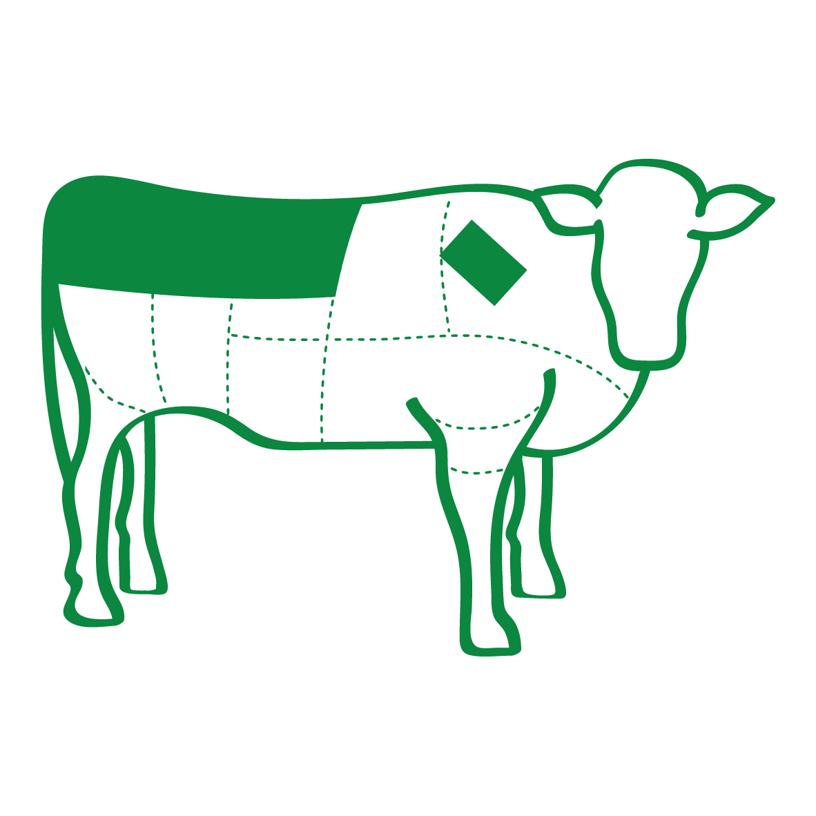 an illustration of a beef carcass showing where stir-fry come from