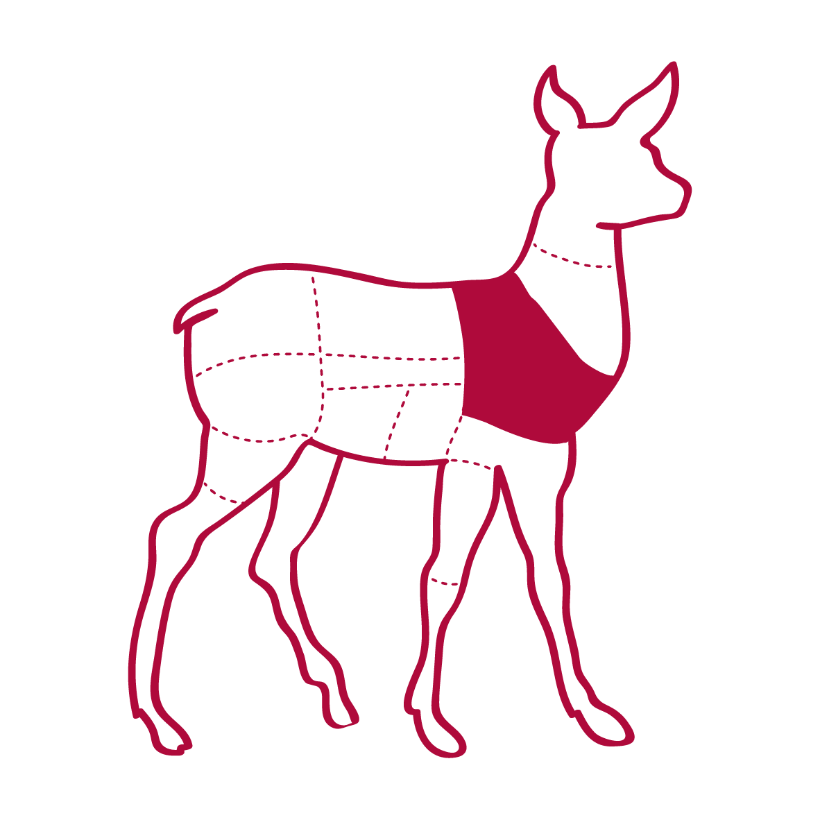 an illustration of a venison carcass showing where mince come from