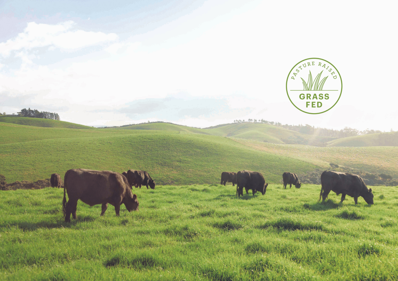 Grass fed logo over image of cows in a paddock, grazing.